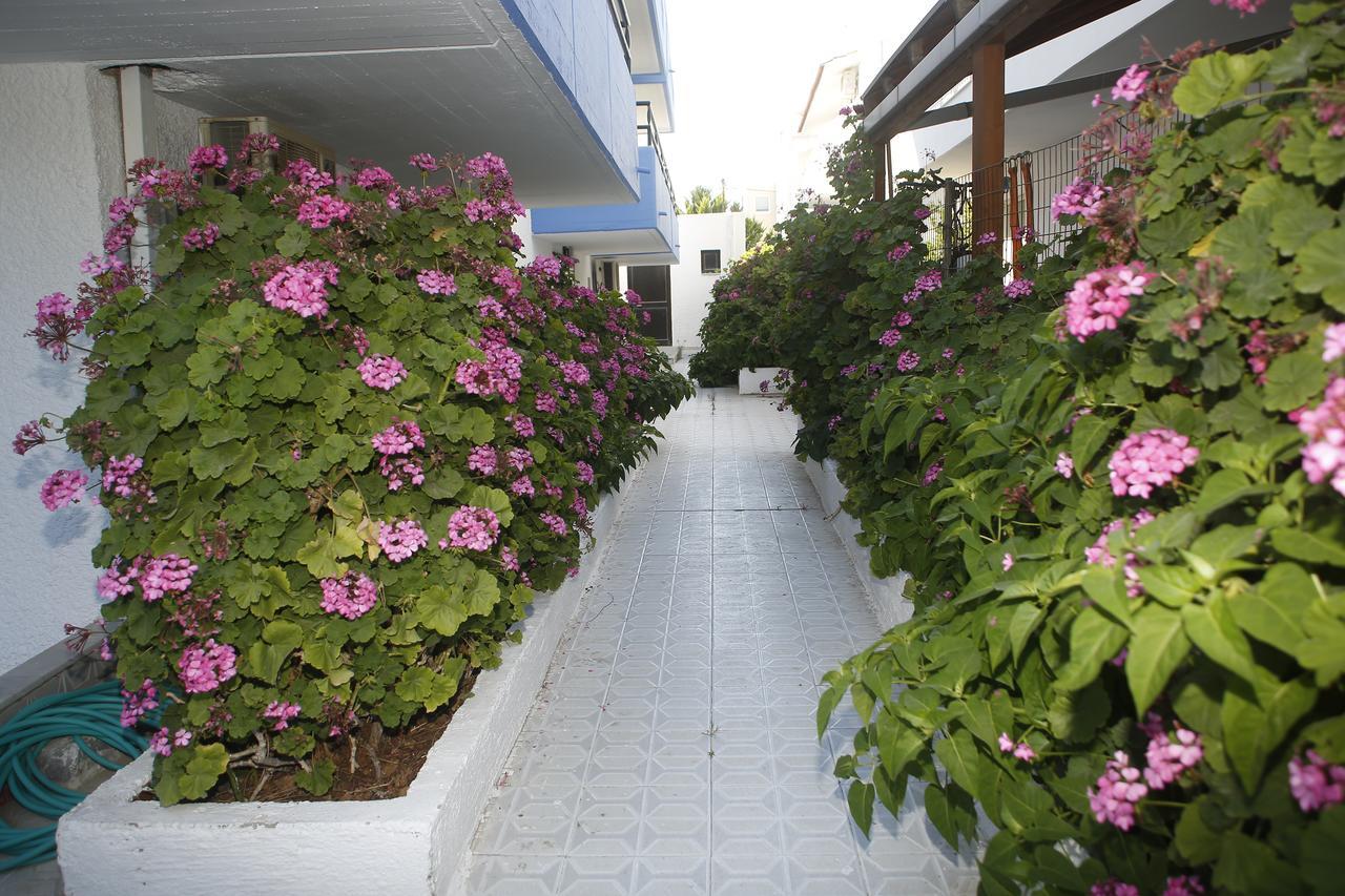 Kardamena  George'S Studios מראה חיצוני תמונה
